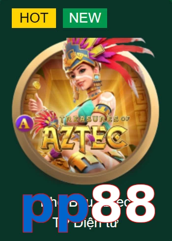 pp88